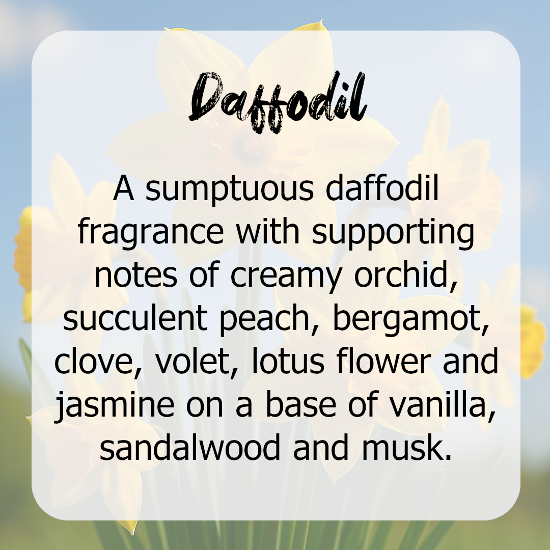 Daffodil Wax Melts - Floral, Daffodils