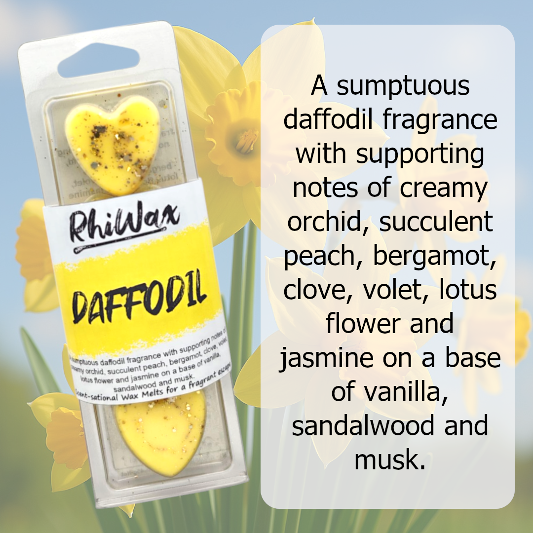 Daffodil Wax Melts - Floral, Daffodils
