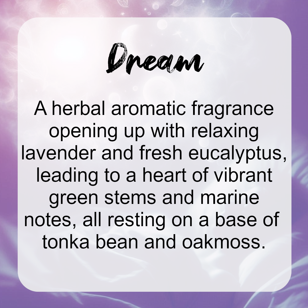 Scent Therapy Wax Melt Collection - Dream, Energise, Healing, Refresh