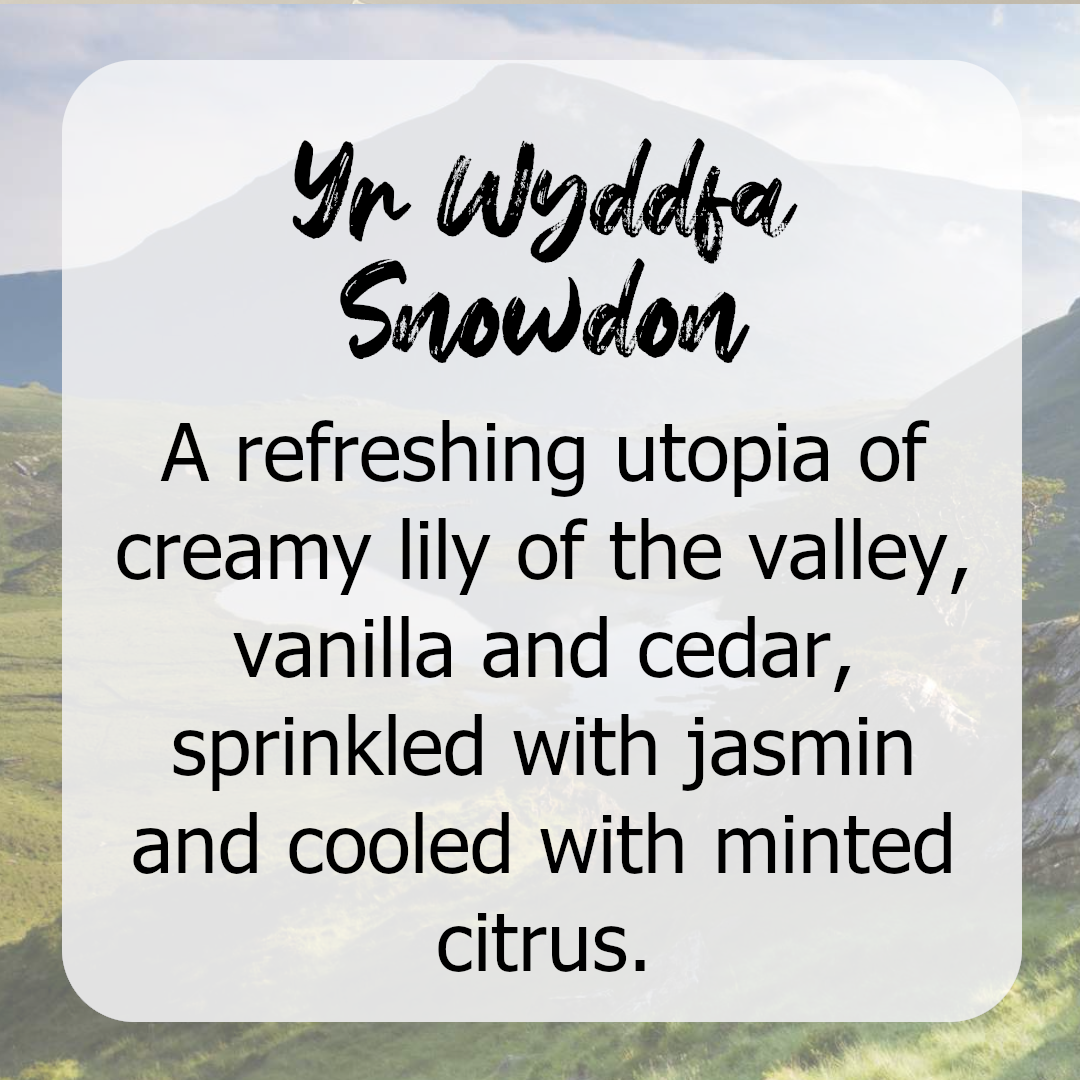 Yr Wyddfa / Snowdon Wax Melts - Lily of the Valley, Vanilla, Cedar, Jasmine, Minted Citrus