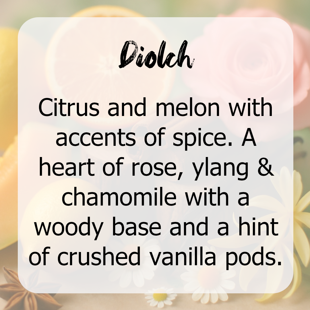 Diolch Wax Melts - Citrus, Melon & Spice