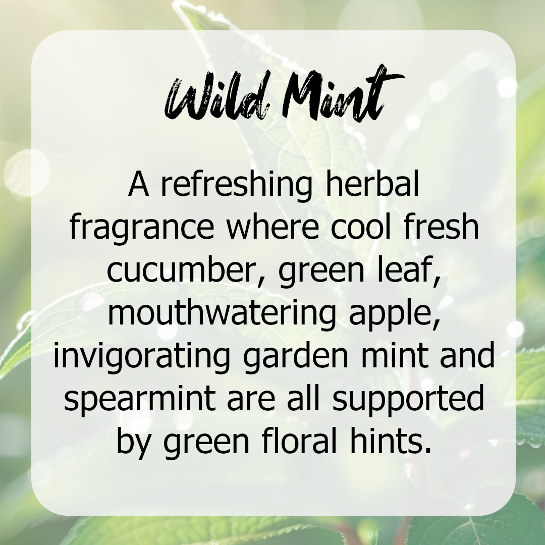Wild Mint Wax Melts - Herbal, Mint