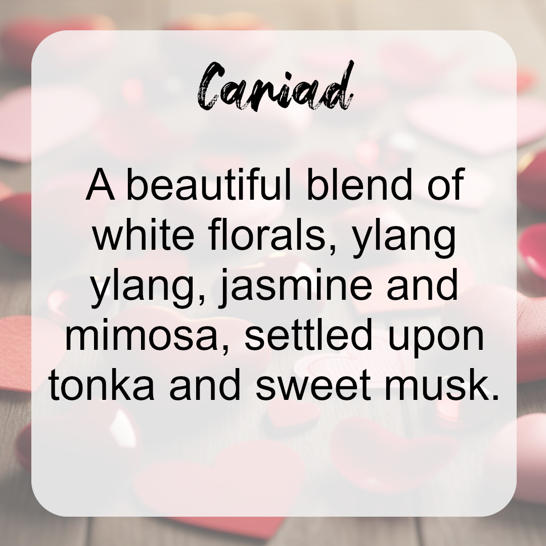 Cariad Lovespoon and Hearts Wax Melts