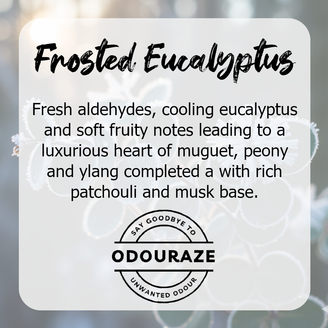 Frosted Eucalyptus 30ml Room Spray with 'Odouraze' odour neutralising technology