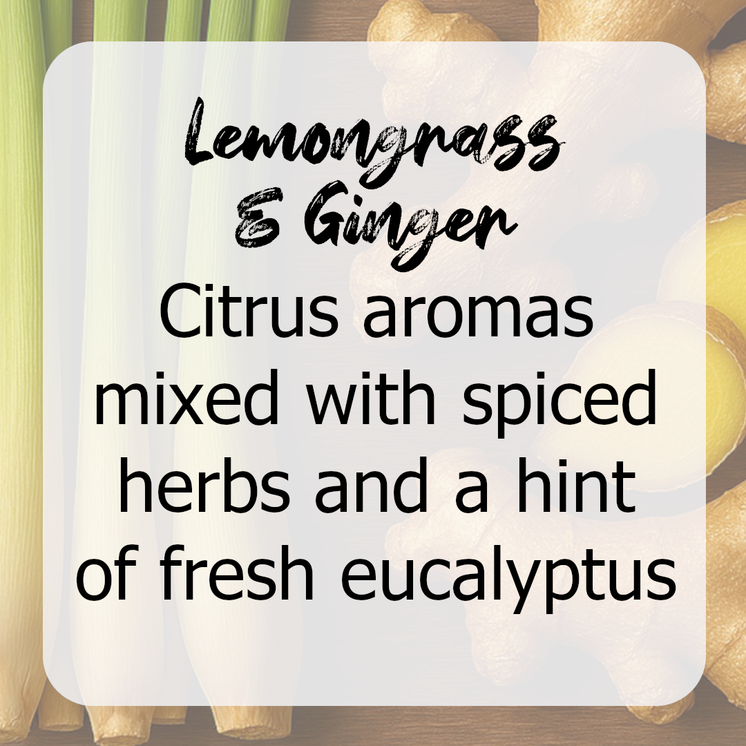 Lemongrass & Ginger Wax Melts with Botanicals