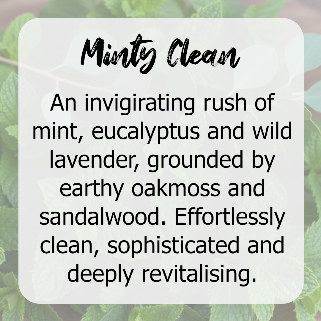 Minty Clean - Mint, Soft herbs