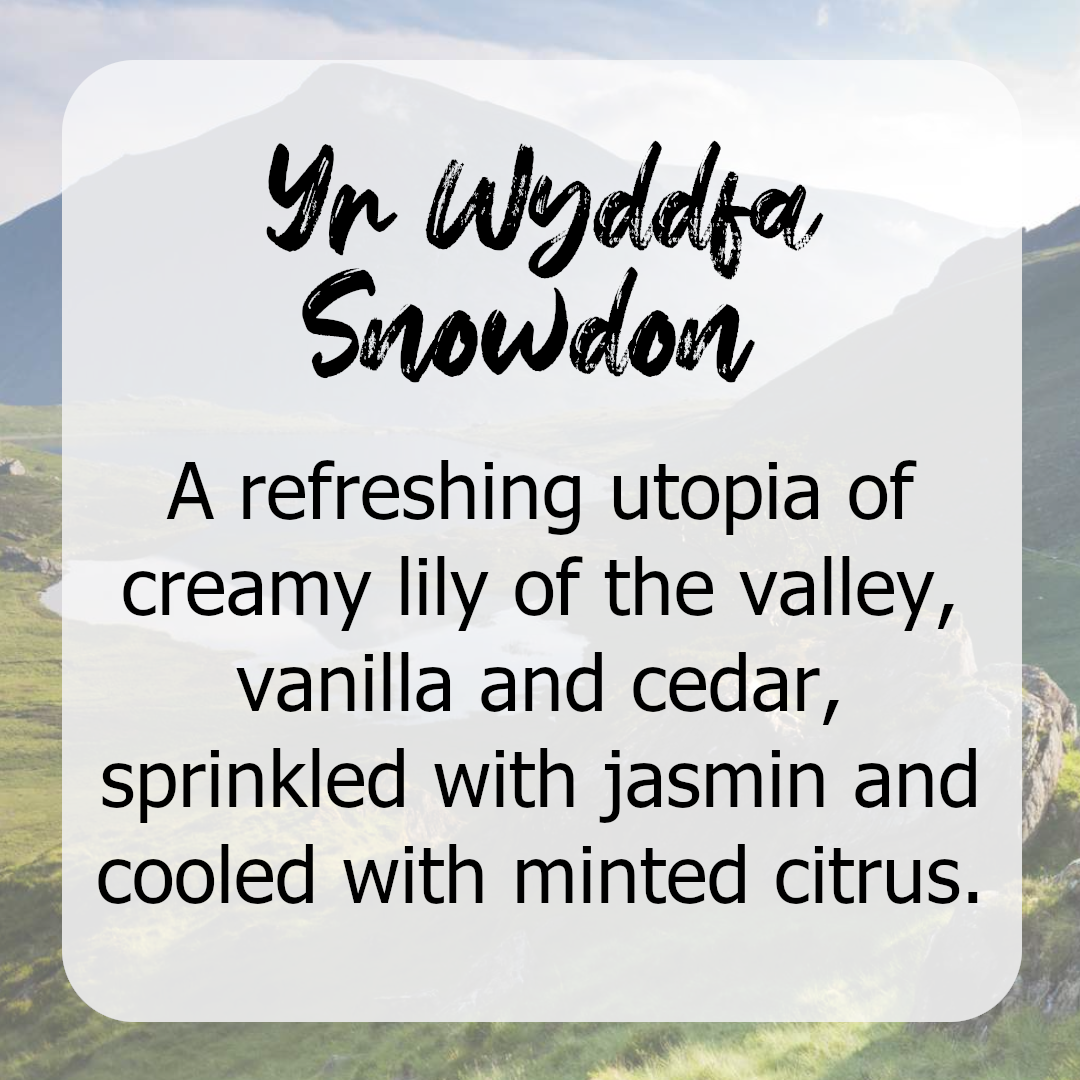 Scents of Wales Wax Melts Collection