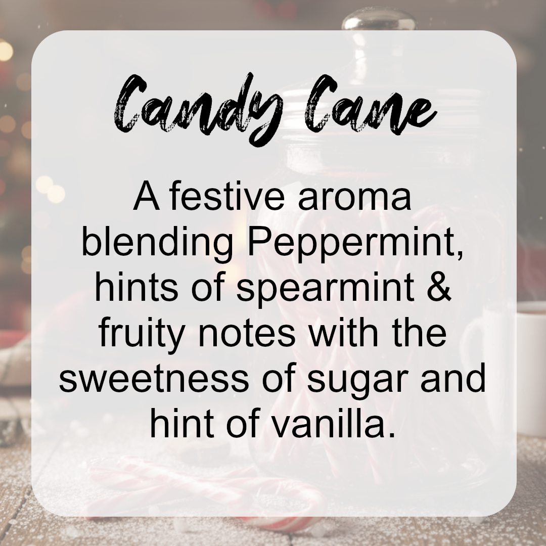 Scents of Christmas Wax Melt Collection